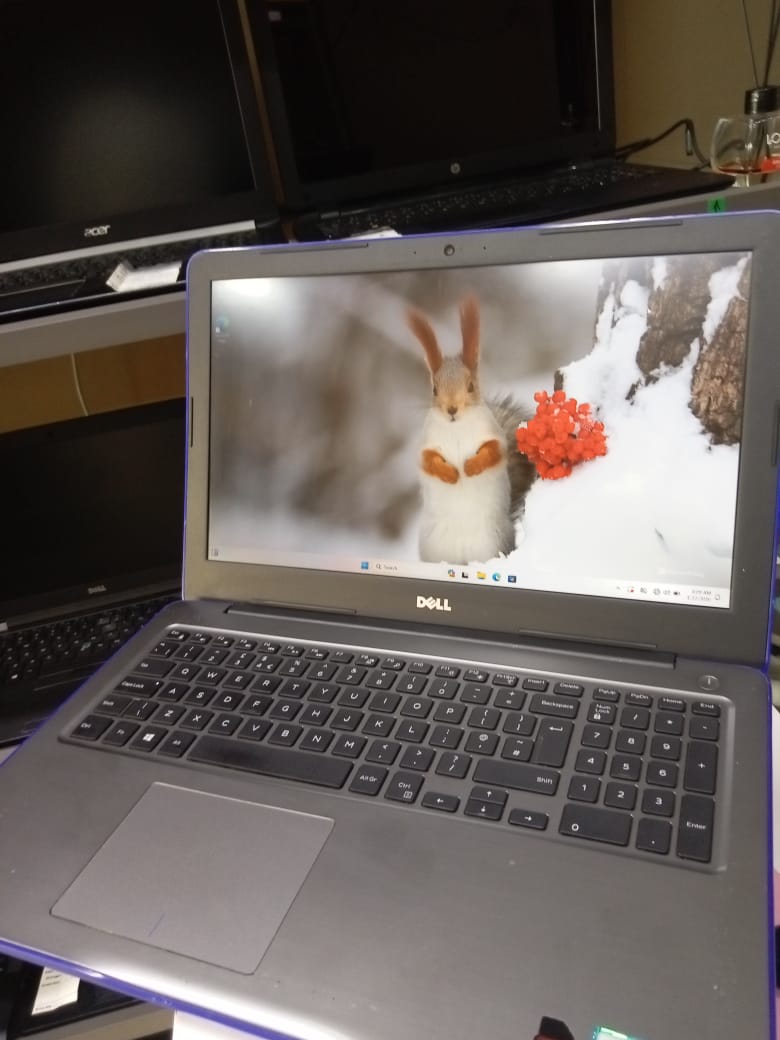 Dell Inspiron 5567 Gaming